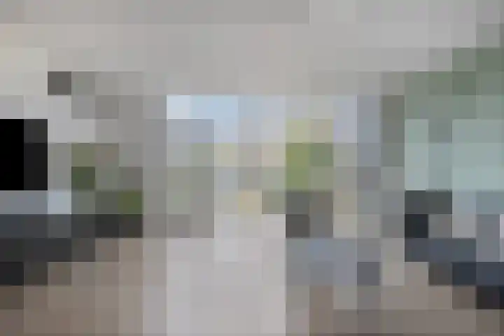 Aronskelk 19 Cuijk thumbnail 17