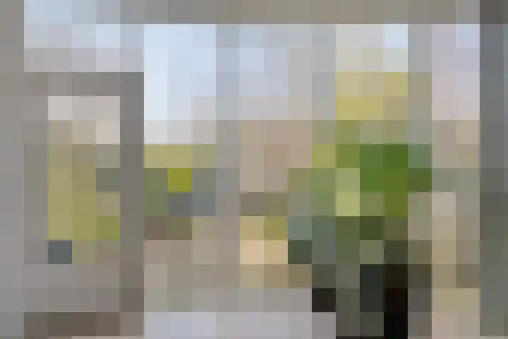 Aronskelk 19 Cuijk thumbnail 18