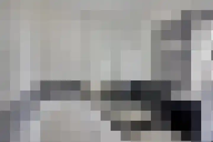 Aronskelk 19 Cuijk thumbnail 29