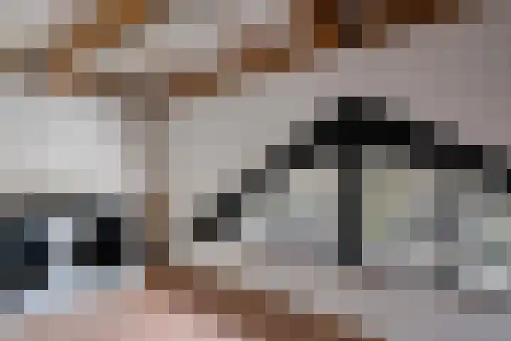 Aronskelk 19 Cuijk thumbnail 33