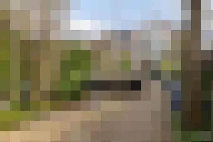 Aronskelk 19 Cuijk thumbnail 4