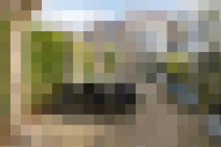 Aronskelk 19 Cuijk thumbnail 40