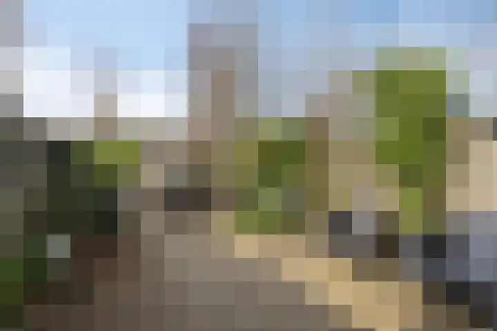 Aronskelk 19 Cuijk thumbnail 42