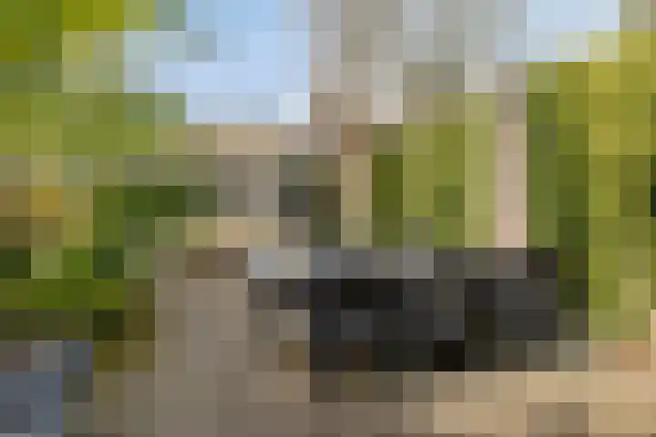 Aronskelk 19 Cuijk thumbnail 43