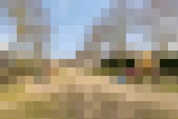 Aronskelk 19 Cuijk thumbnail 47