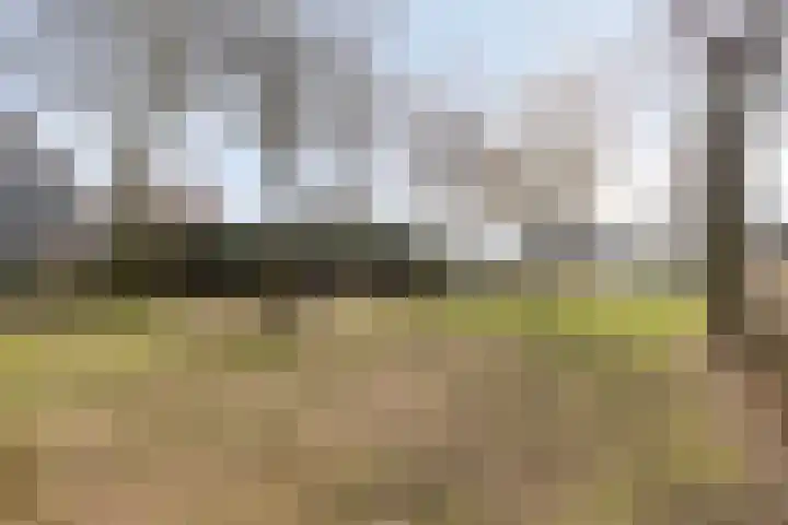 Aronskelk 19 Cuijk thumbnail 48