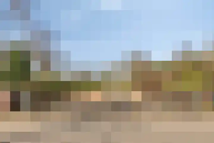Aronskelk 19 Cuijk thumbnail 49