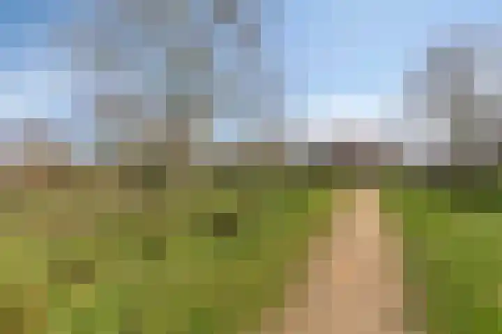 Aronskelk 19 Cuijk thumbnail 50