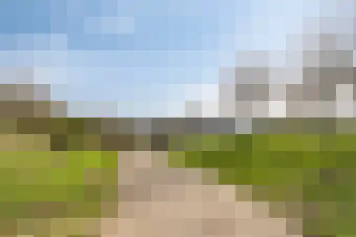 Aronskelk 19 Cuijk thumbnail 51