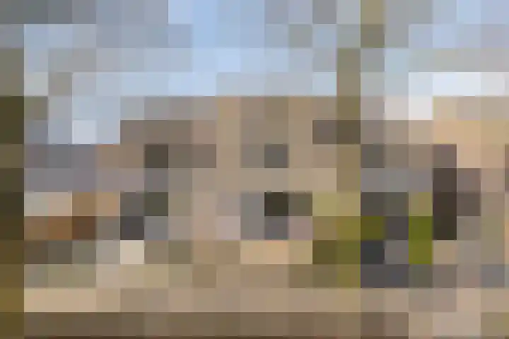Aronskelk 19 Cuijk thumbnail 6