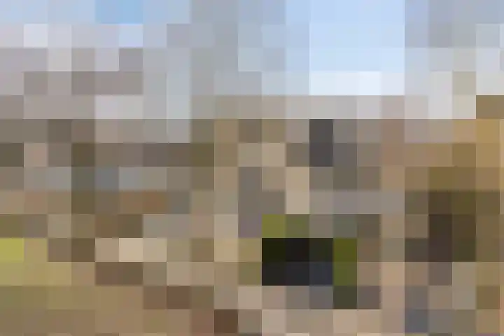 Aronskelk 19 Cuijk thumbnail 8