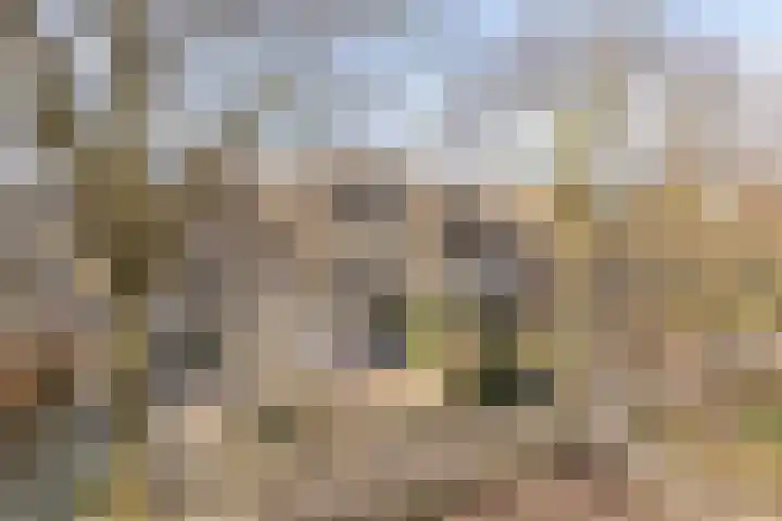 Aronskelk 19 Cuijk thumbnail 9