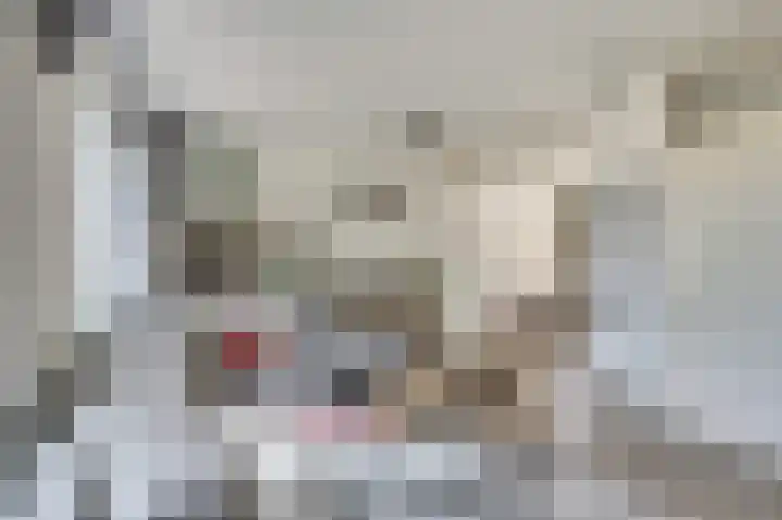 Aronskelk 35 Venray thumbnail 12