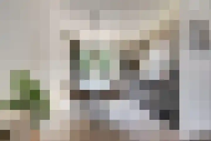 Aronskelk 35 Venray thumbnail 13
