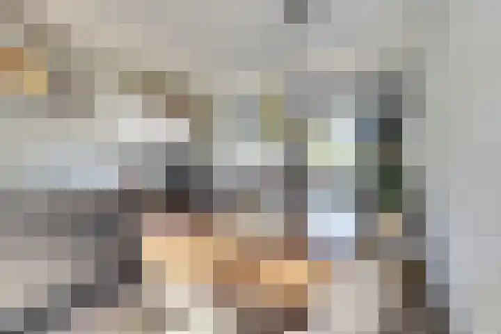 Aronskelk 35 Venray thumbnail 14