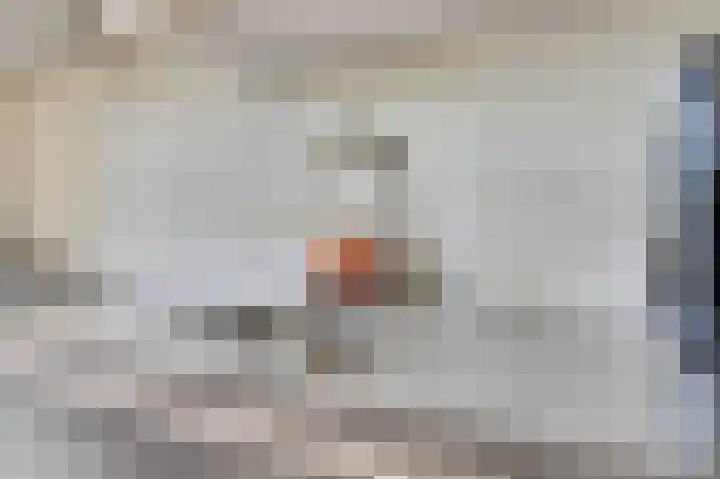 Aronskelk 35 Venray thumbnail 16