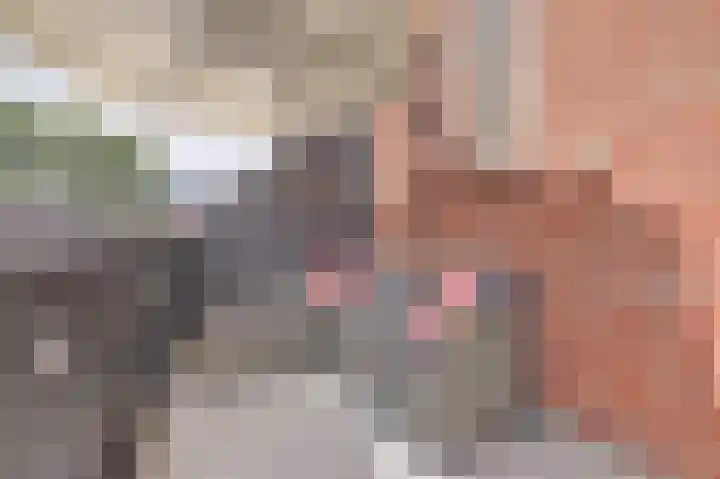 Aronskelk 35 Venray thumbnail 22