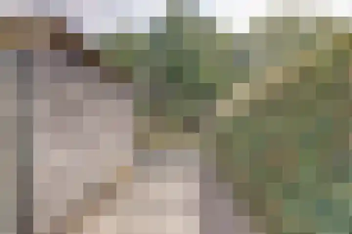 Aronskelk 35 Venray thumbnail 34