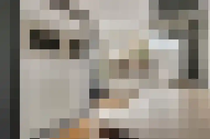 Aronskelk 45 Elsloo thumbnail 10