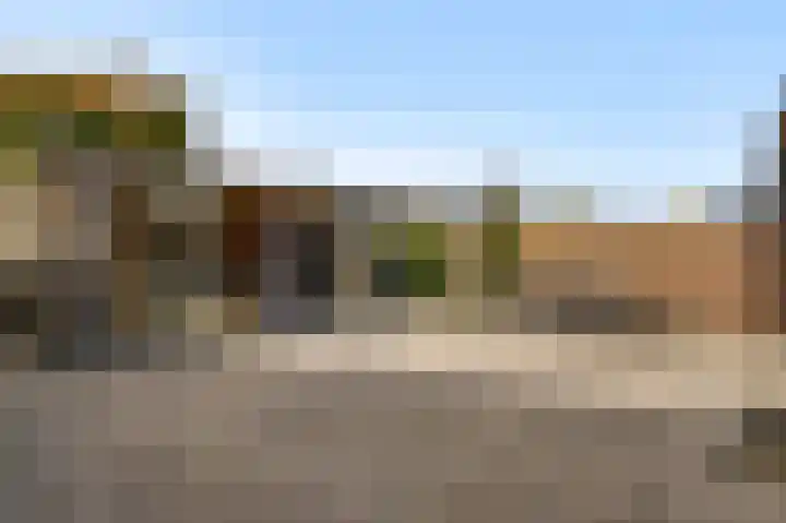 Aronskelk 45 Elsloo thumbnail 13