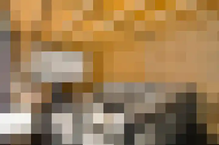 Aronskelk 45 Elsloo thumbnail 14