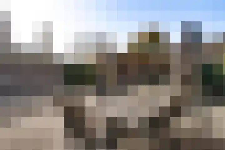 Aronskelk 45 Elsloo thumbnail 15