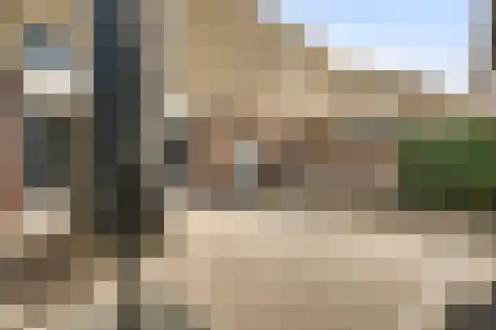 Aronskelk 45 Elsloo thumbnail 17