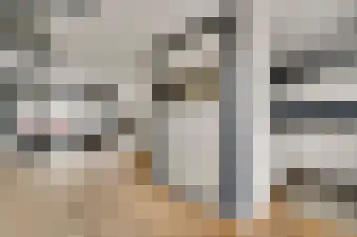 Aronskelk 45 Elsloo foto 2