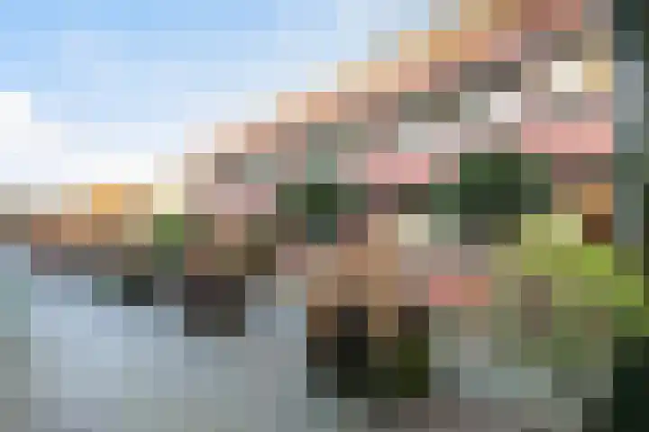 Aronskelk 45 Elsloo thumbnail 22