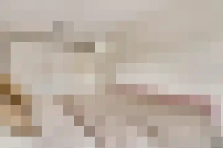 Aronskelk 45 Elsloo thumbnail 27