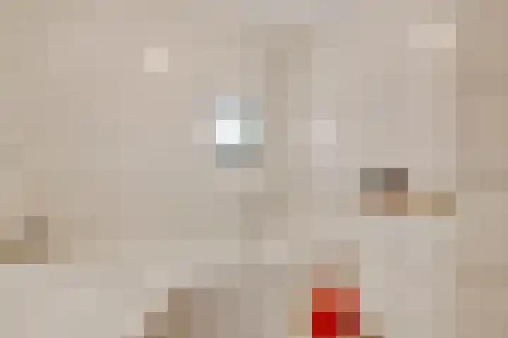 Aronskelk 45 Elsloo thumbnail 28