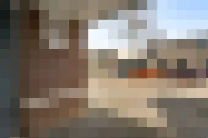 Aronskelk 45 Elsloo thumbnail 35