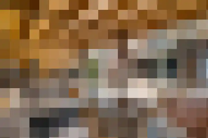 Aronskelk 45 Elsloo thumbnail 4