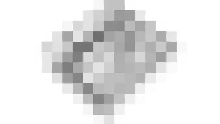 Aronskelk 45 Elsloo thumbnail 41