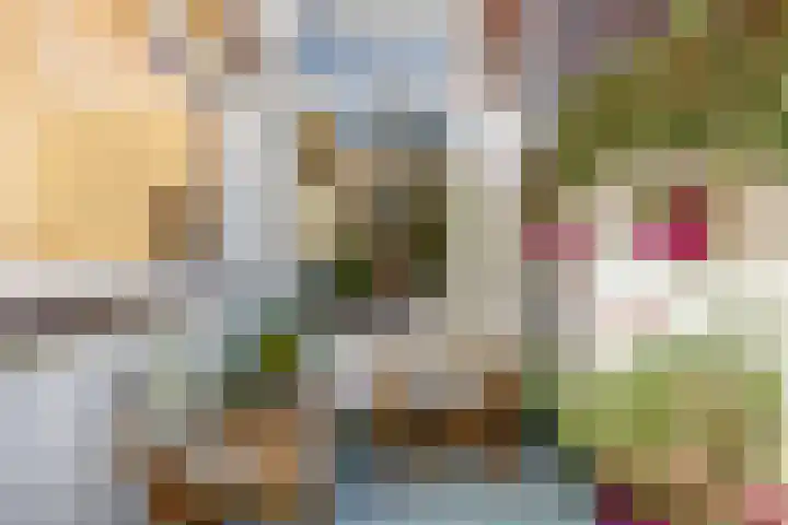 Aronskelk 45 Elsloo thumbnail 5