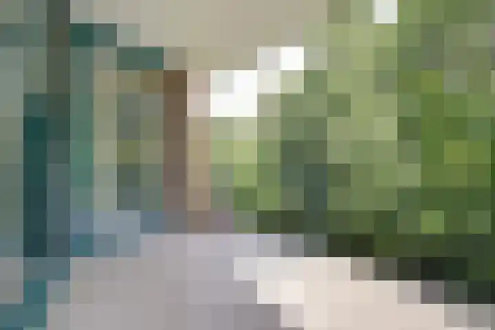 Aronskelk 45 Elsloo thumbnail 7