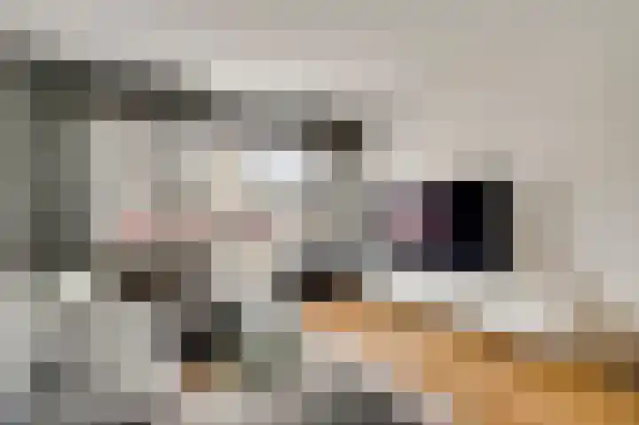 Aronskelk 45 Elsloo thumbnail 8