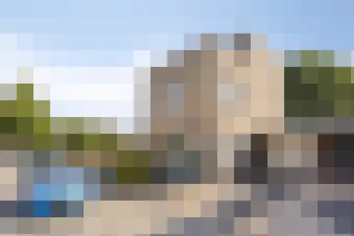 Aronskelk 50 Elsloo