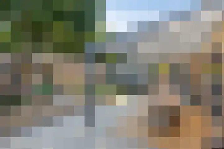 Aronskelk 50 Elsloo thumbnail 20
