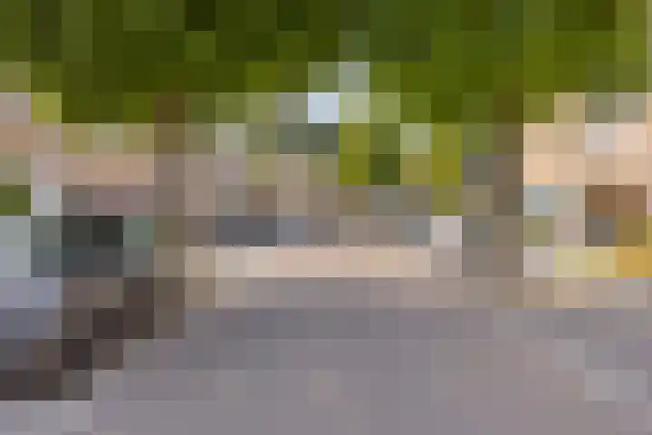 Aronskelk 50 Elsloo thumbnail 38