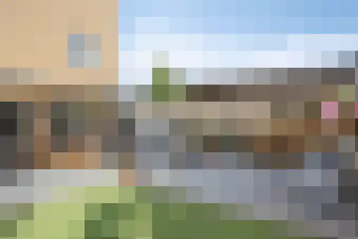 Aronskelk 50 Elsloo thumbnail 5