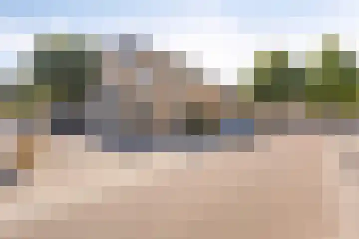 Aronskelk 50 Elsloo thumbnail 9