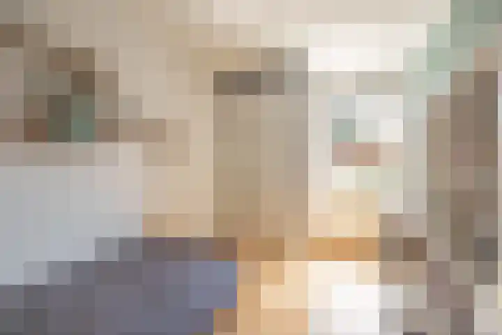 Aronskelk 67 Elsloo thumbnail 15