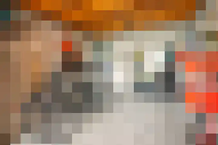 Aronskelk 67 Elsloo thumbnail 23