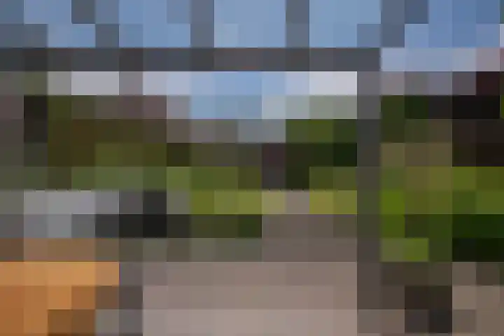 Aronskelk 67 Elsloo thumbnail 24