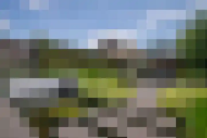 Aronskelk 67 Elsloo thumbnail 25
