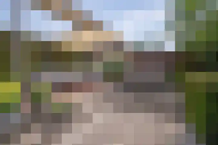 Aronskelk 67 Elsloo thumbnail 26