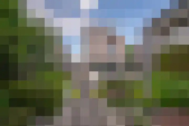 Aronskelk 67 Elsloo thumbnail 27