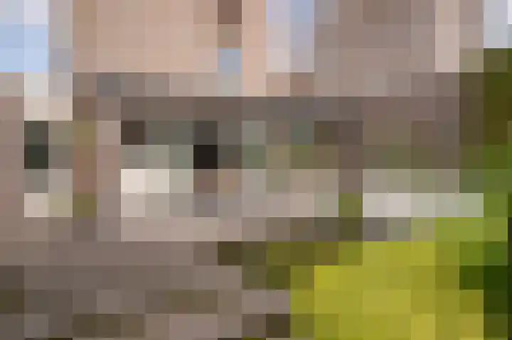 Aronskelk 67 Elsloo thumbnail 28