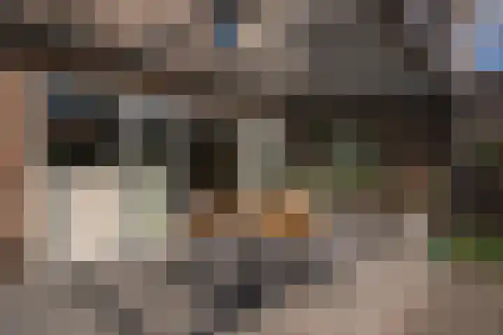 Aronskelk 67 Elsloo thumbnail 29